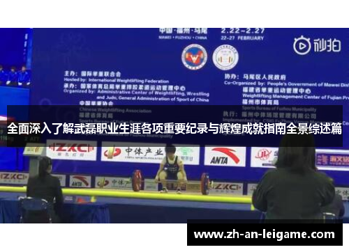 全面深入了解武磊职业生涯各项重要纪录与辉煌成就指南全景综述篇